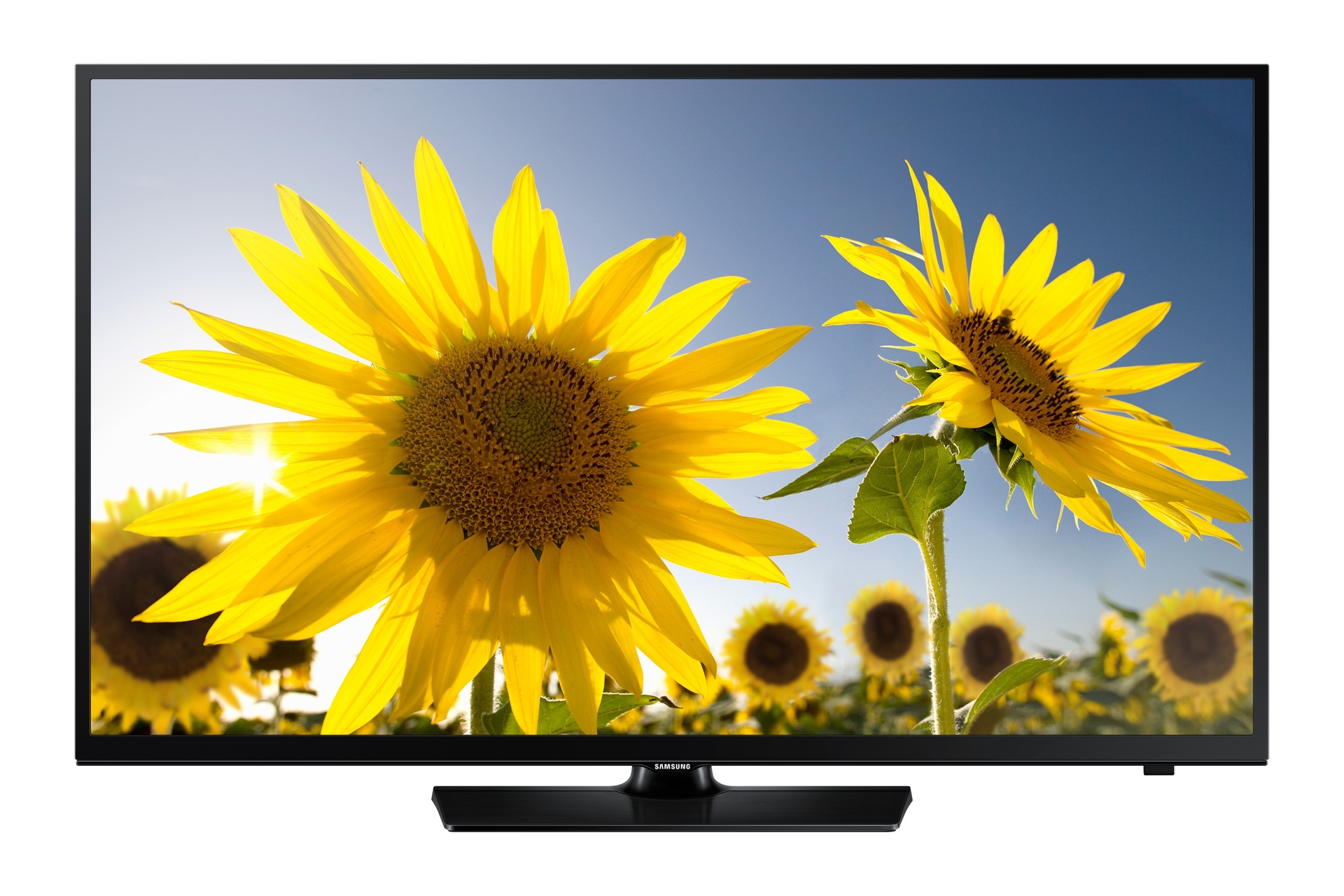 Televisor 48" HD Smart TV H4203 | Soporte España