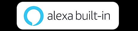 Amazon Alexa (Check before use to determine availability of the feature.)