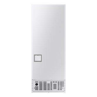 back White