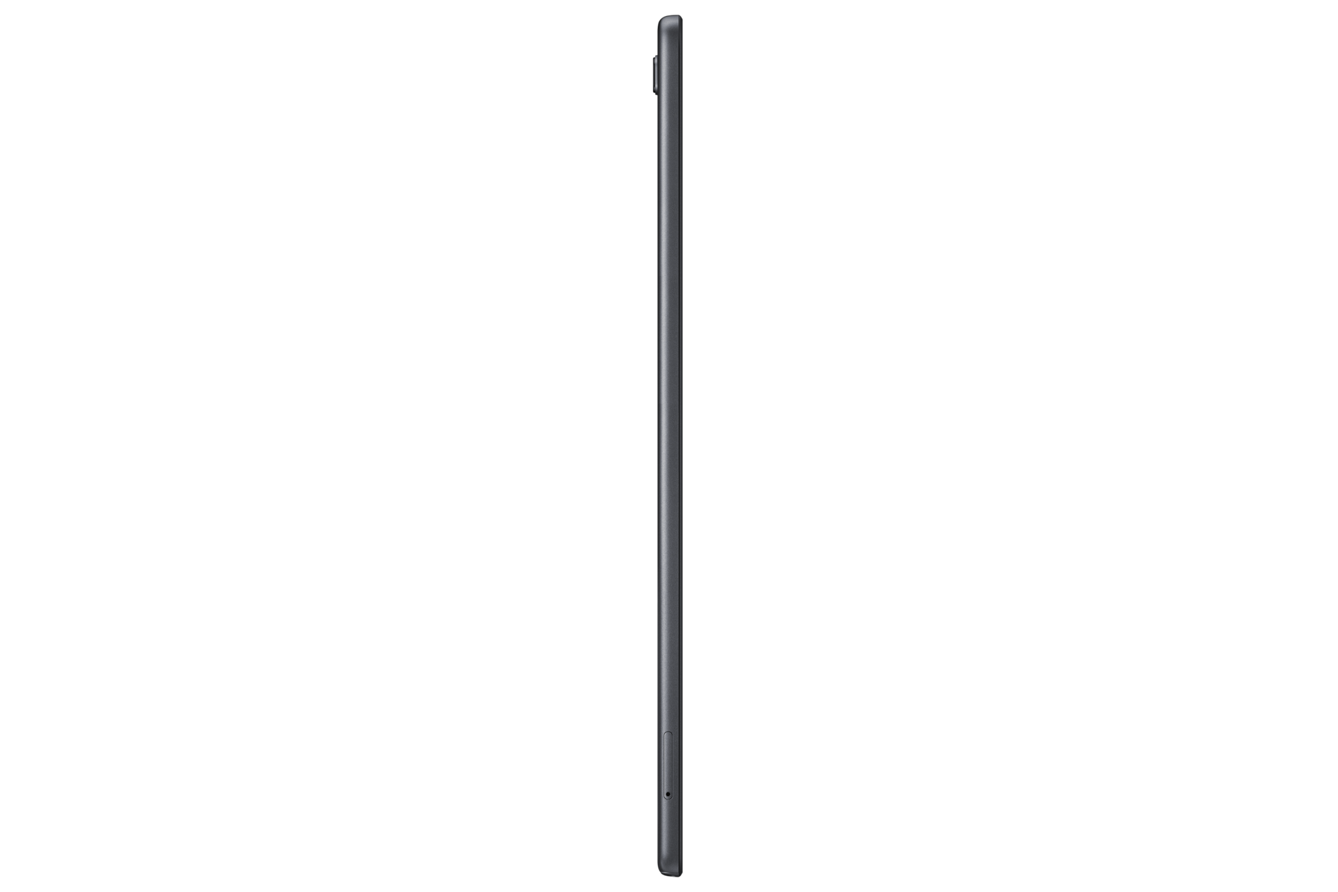 l-side-portrait Gray
