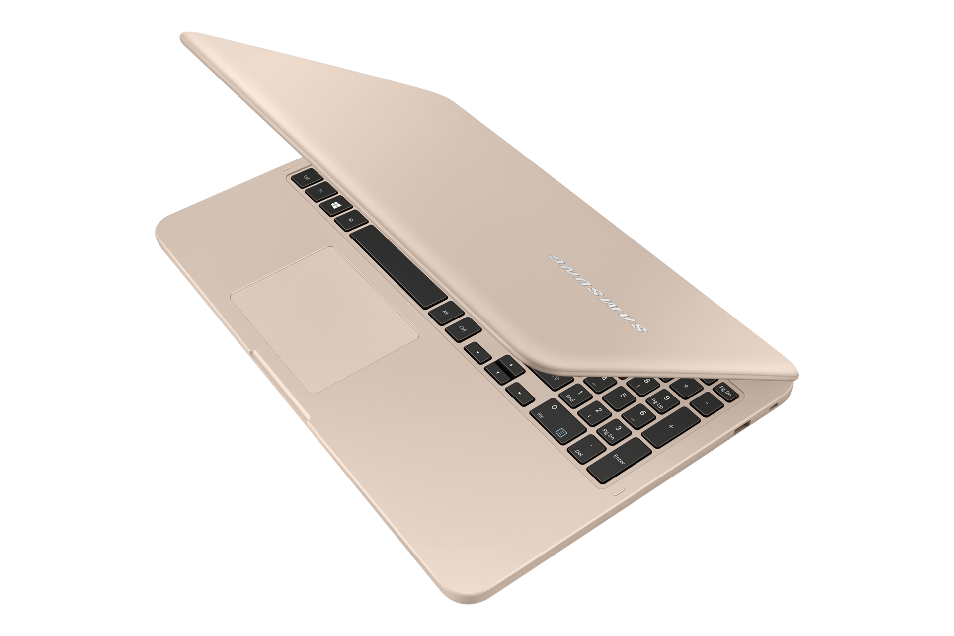 dynamic martian pink