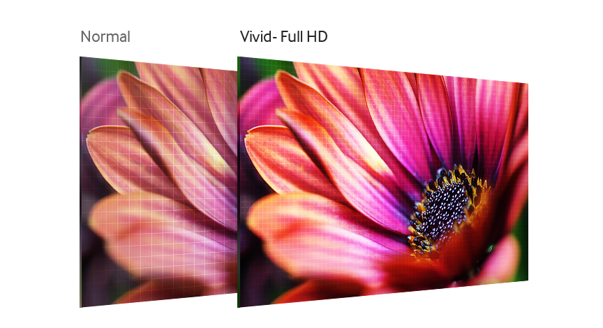 An image showing two photographs: one normal and one in Full HD resolution.