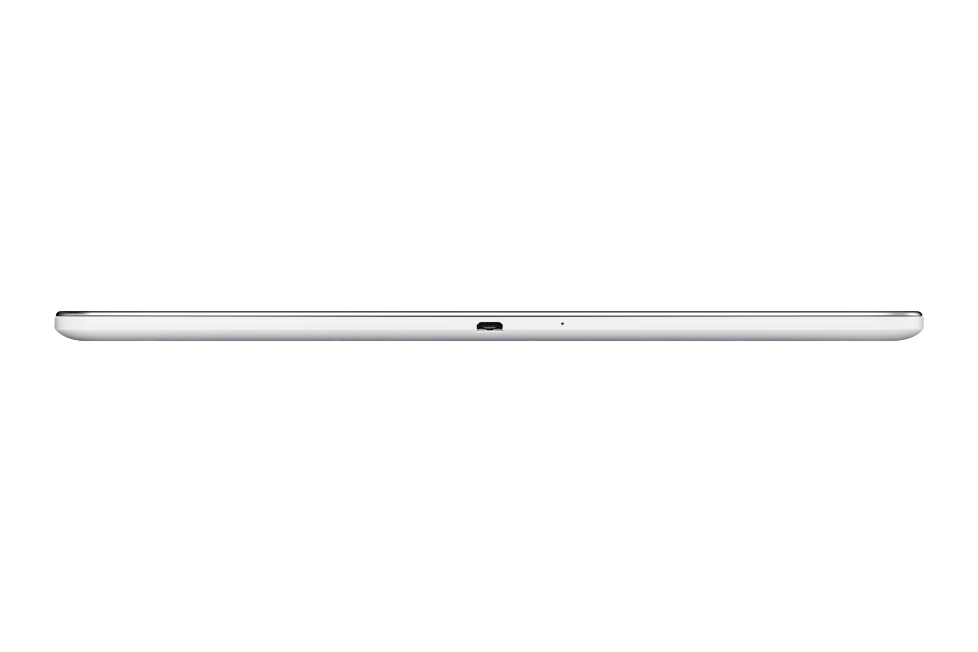 Bottom white