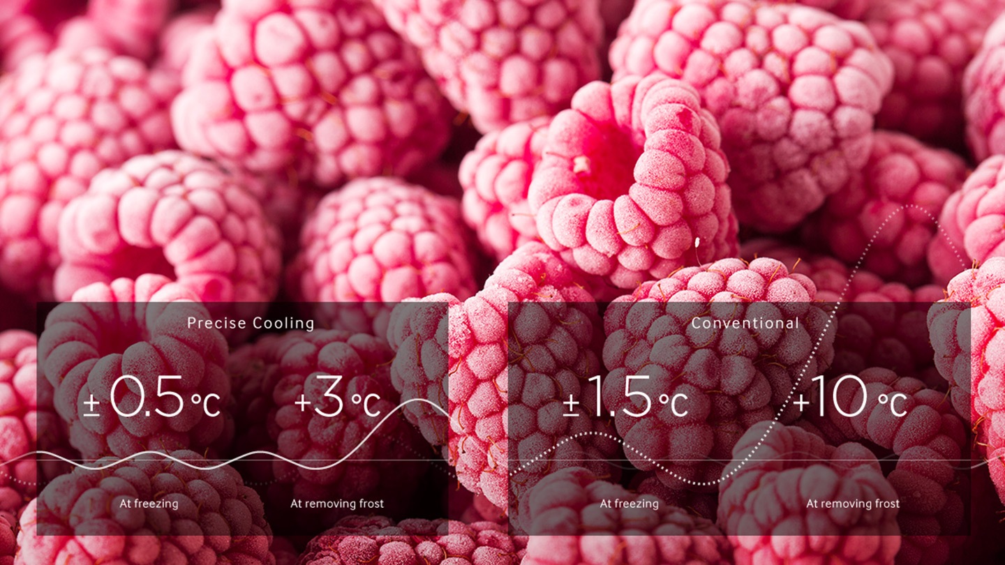 טריות שנשארת