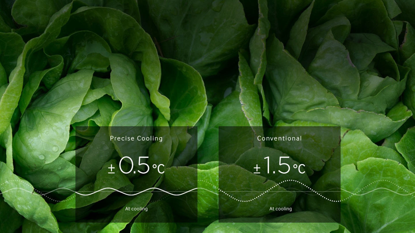 טריות שנשארת