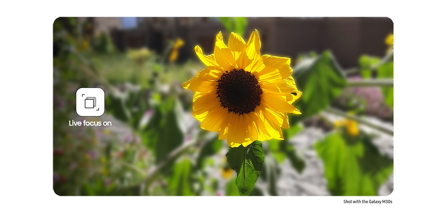 Live focus for portraits