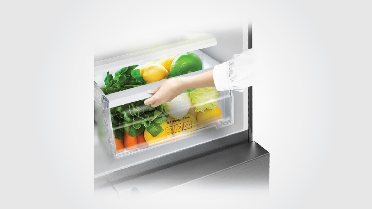 Fruit Crisper 