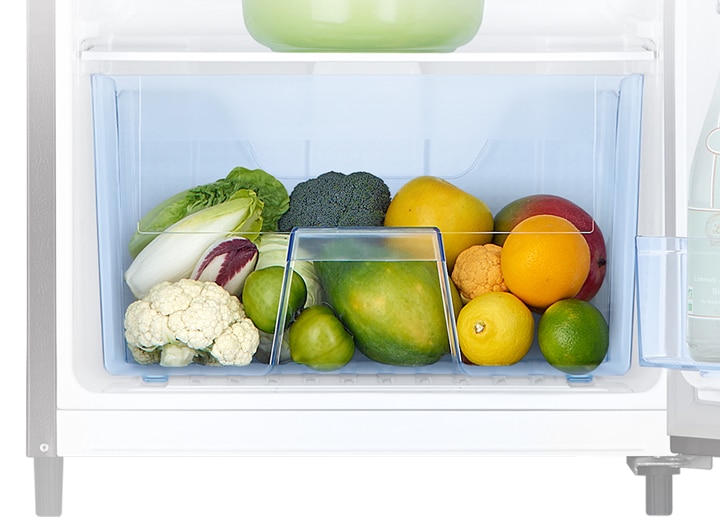 Single Door fridge with Large Capacity Vege box