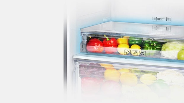 Convertible Refrigerators in India