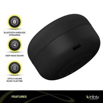 infinity jbl fuze pint