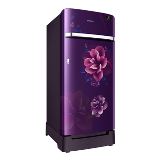 198l 1 Door Refrigerator 4 Star Rr21t2h2xcr Samsung India