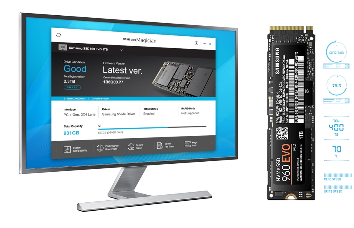 Samsung SSD 960 EVO M.2 NVMe 500GB | Samsung IT