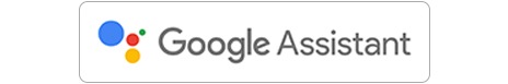 Google Assistant 