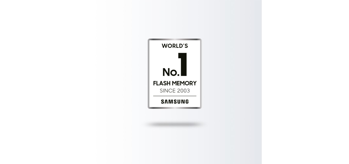 World†s No.1 Flash Memory