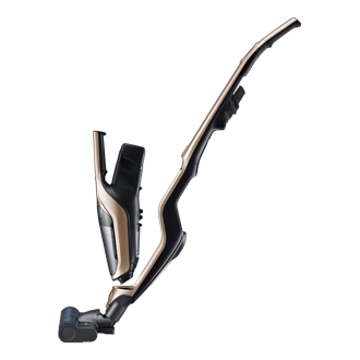 dynamic-2 maple gold