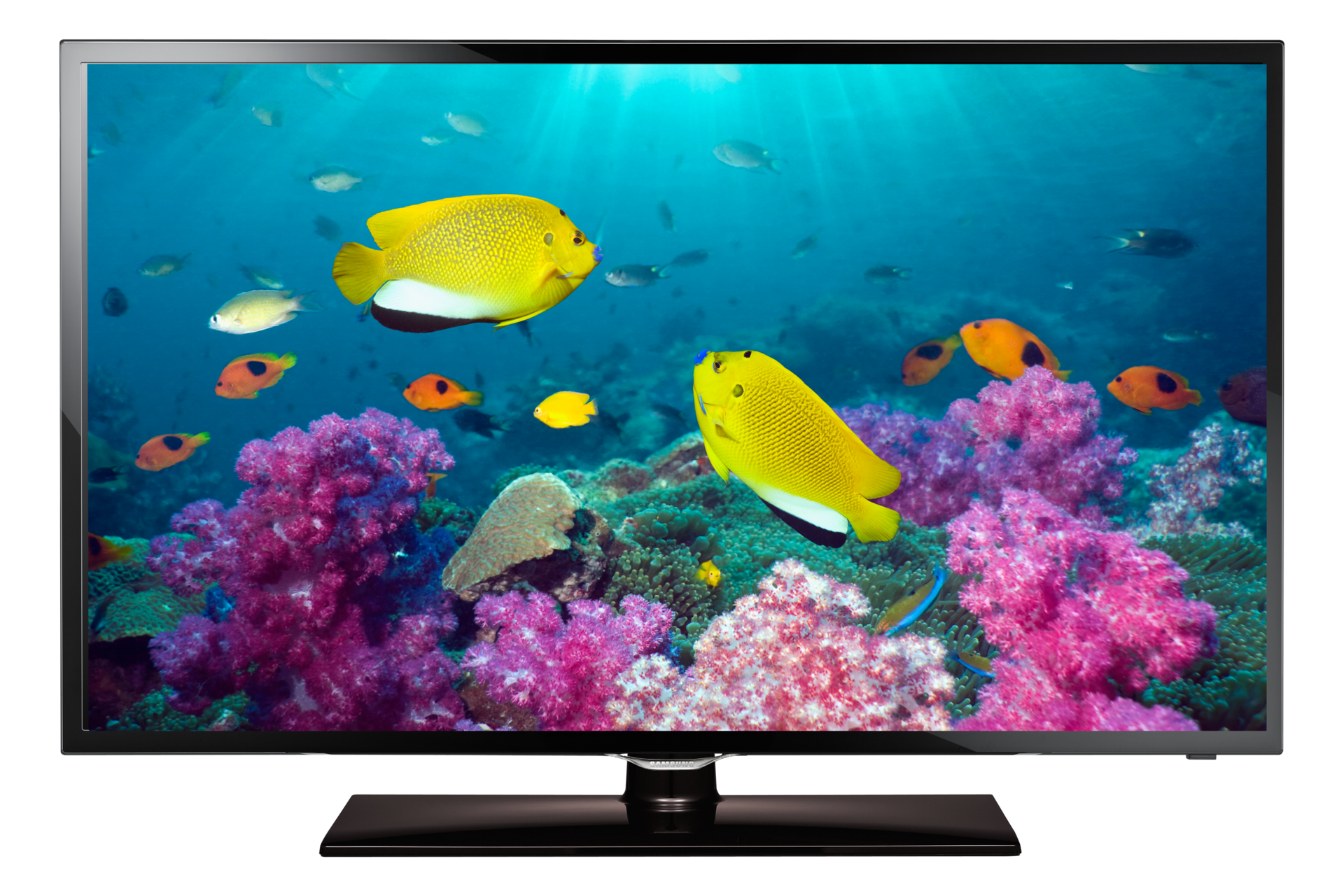22 Full HD Flat TV F5000 Series 5 Samsung Support Caribbean