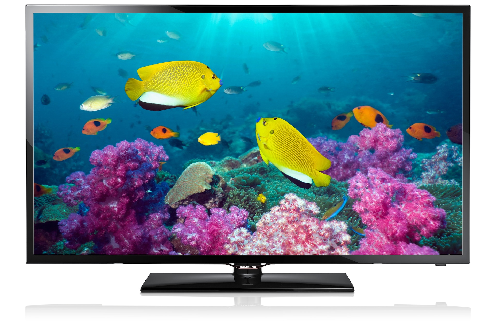 32" Full Flat F5000 Series 5 | Samsung Support Caribbean