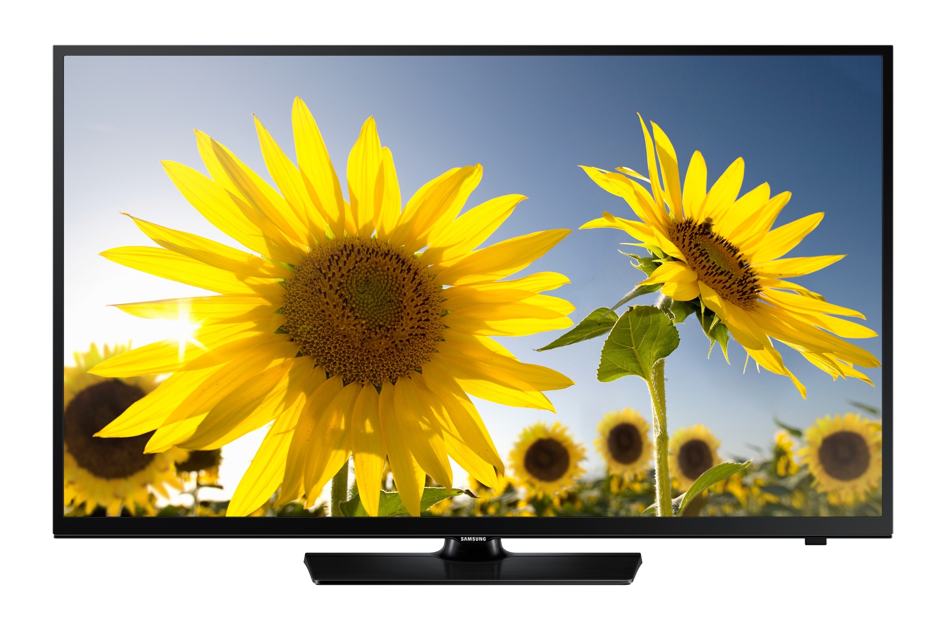 48" HD Flat Smart TV H4203 Series 4 Samsung Support Caribbean