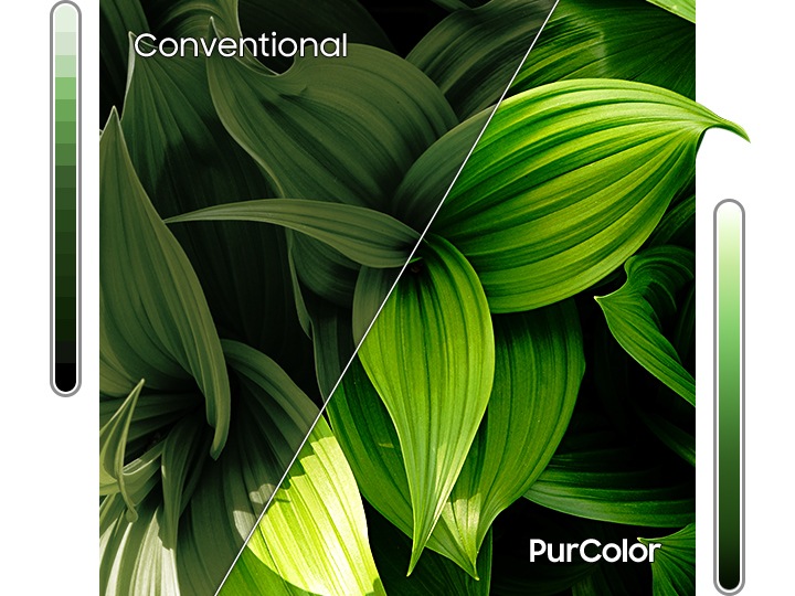 T4300 HD Smart TV 2020 - PurColor