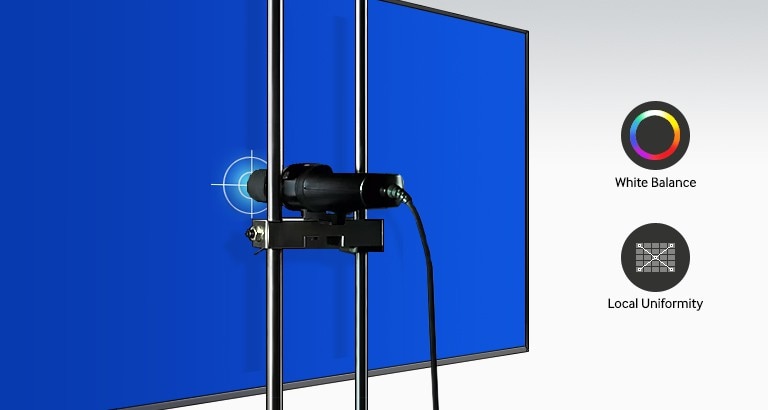 Achieve Ultimate Picture Quality through Advanced Factory Calibration 