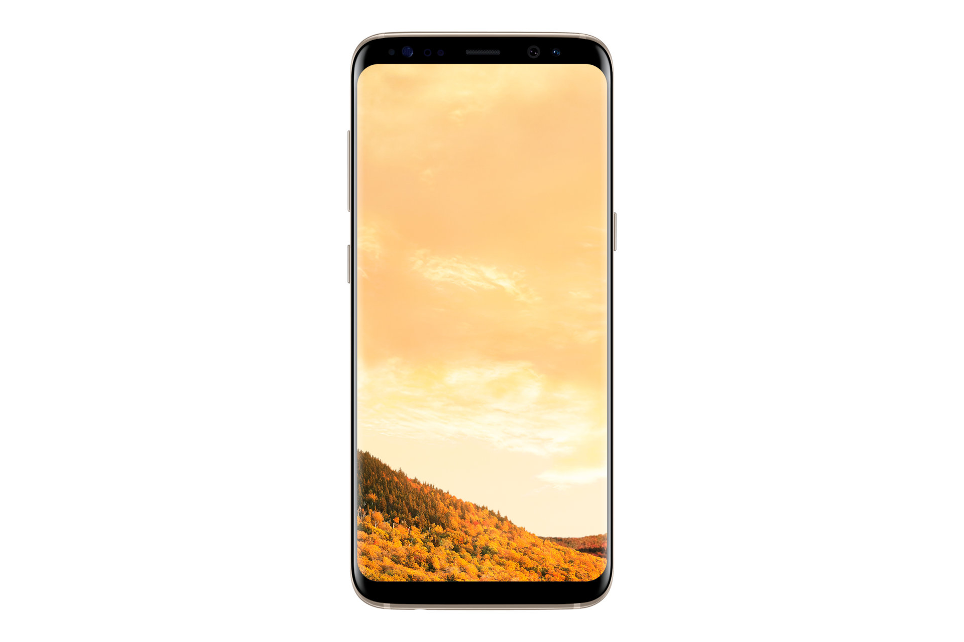 Galaxy S8 (Dual Sim) | Samsung Support LEVANT