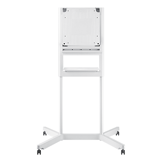 front white