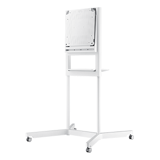 r-perspective white