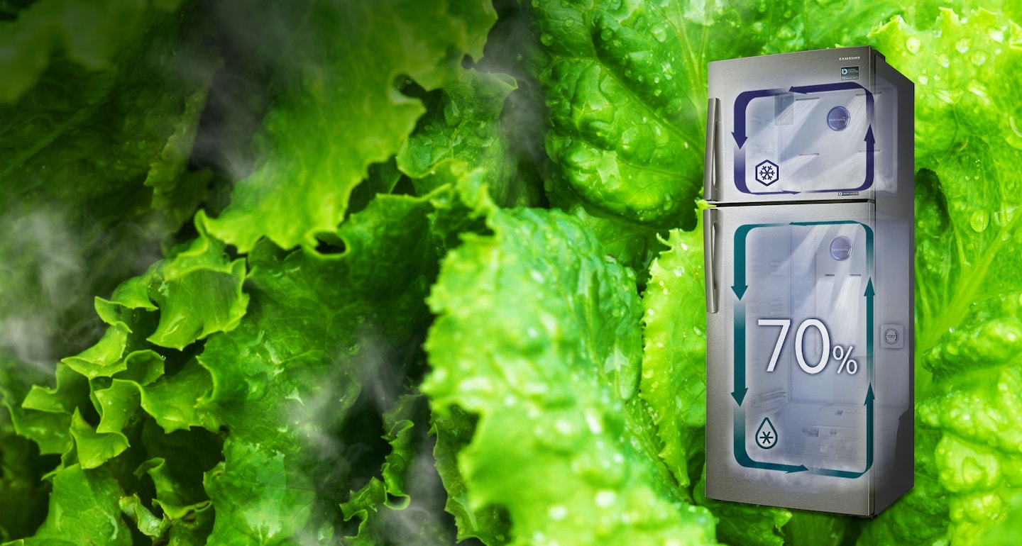 Seule la technologie Twin Cooling Plus™ est capable de créer un environnement qui favorise la préservation des aliments frais dans le réfrigérateur grâce à un taux d’humidité de 70%, contre 30% dans les réfrigérateurs classiques avec congélateur en haut. Cette technologie conserve ainsi plus longtemps la fraîcheur des aliments, sans les dessécher.