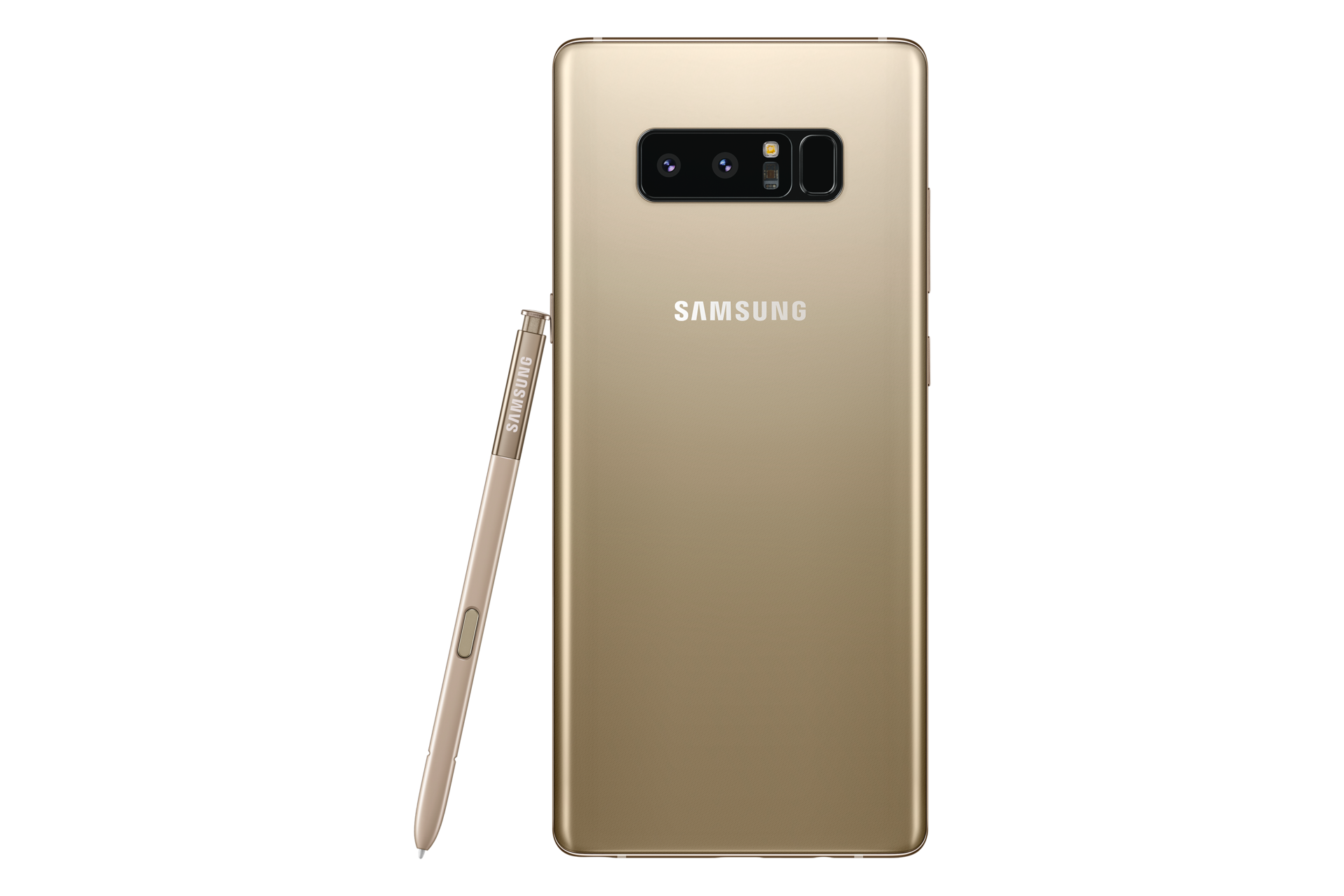 Devicepen Back Maple Gold