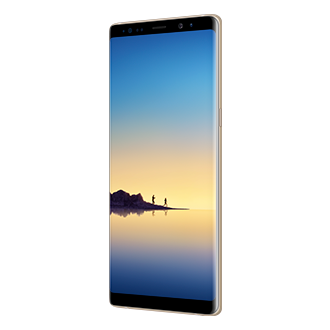 R Perspective Maple Gold