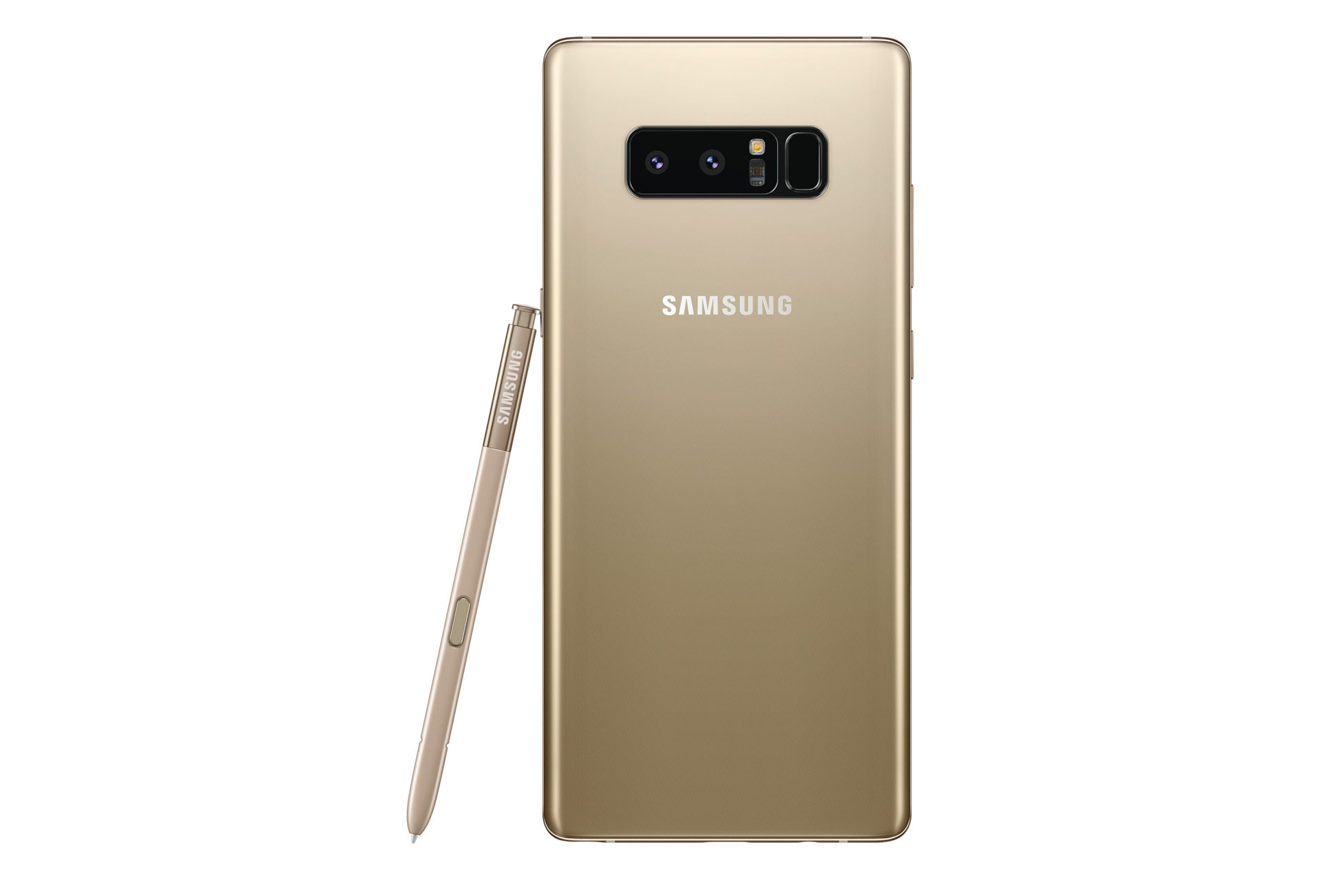 Devicepen Back Maple Gold