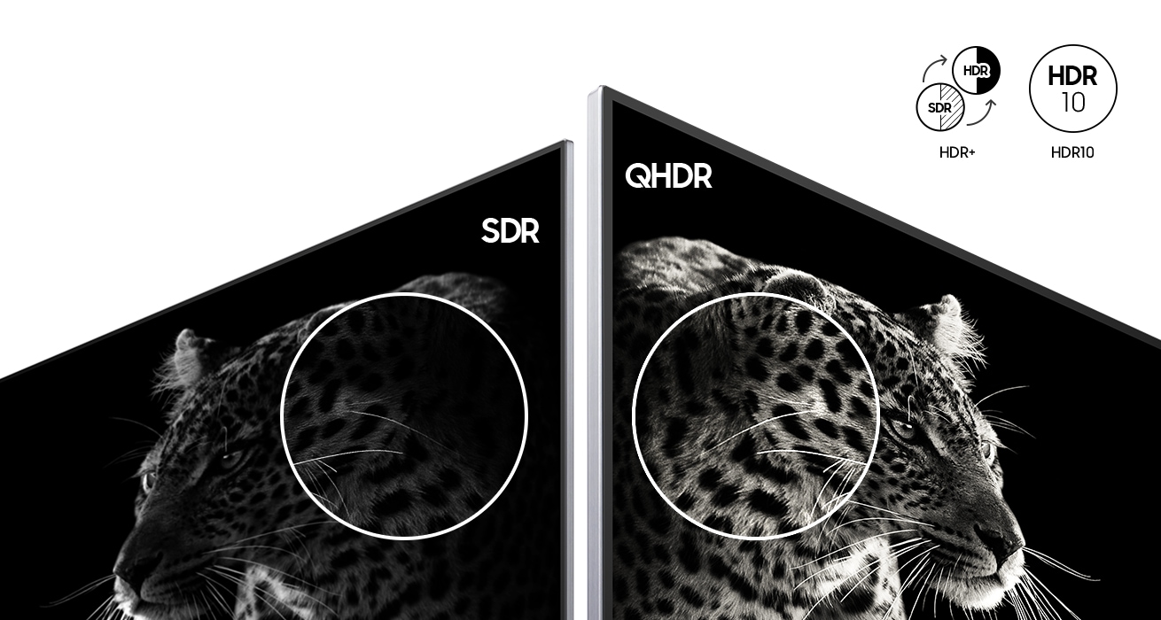 An image comparing a previous Samsung model that supports SDR with  Samsung's QHDR-enabled QHDR display. The image on the left does not show the black and white contrast of a leopard in fine detail, while the image on the right shows an exceptionally detailed image of the same black-and-white leopard. On the upper right, HDR+ and HDR10 icons are displayed, indicating the SDR to HDR upgrade.