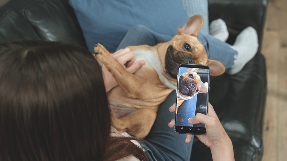 Thumbnail of a woman wanting to take photo of her dog on her lap and opening her Galaxy S8 or S8+ to be surprised to see her own face so quickly switching to the rear camera with a swipe