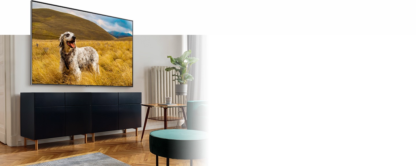 Un téléviseur sur un meuble dans le salon moderne affiche un chien marron moucheté sur un gazon en Mode Naturel.