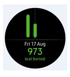 fitness watch samsung health