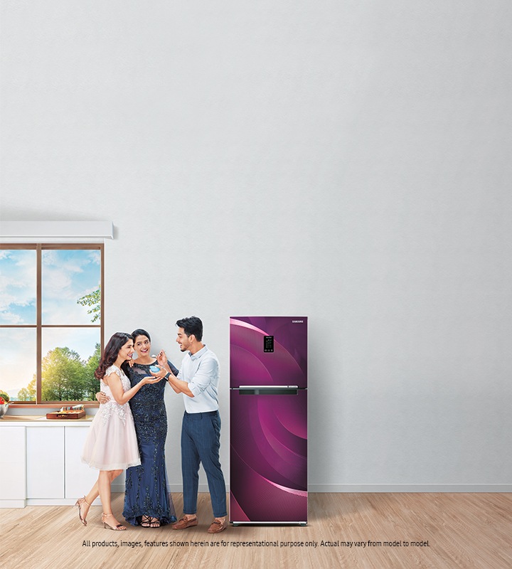 Double Door Refrigerators Top Mount Convertable Freezers Samsung India