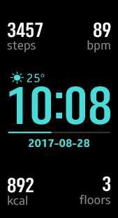 samsung gear fit 2 pro faces