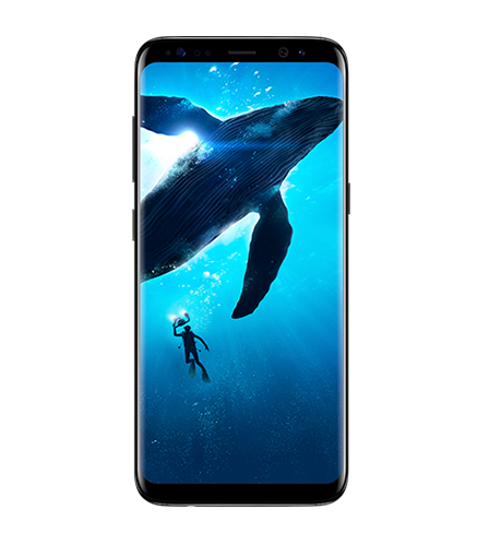 Buy Samsung Galaxy S8 And S8 Offers Prices Samsung India