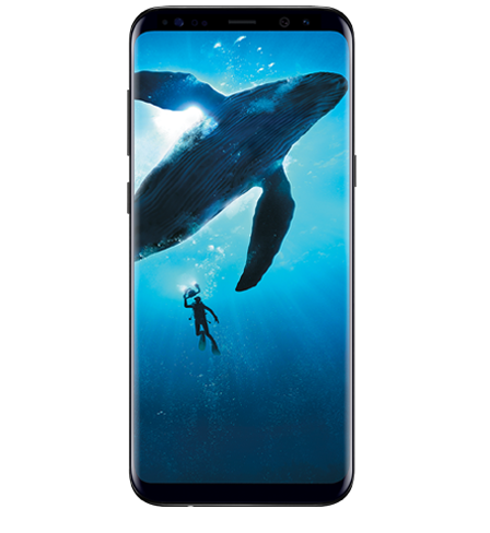 Buy Samsung Galaxy S8 And S8 Offers Prices Samsung India