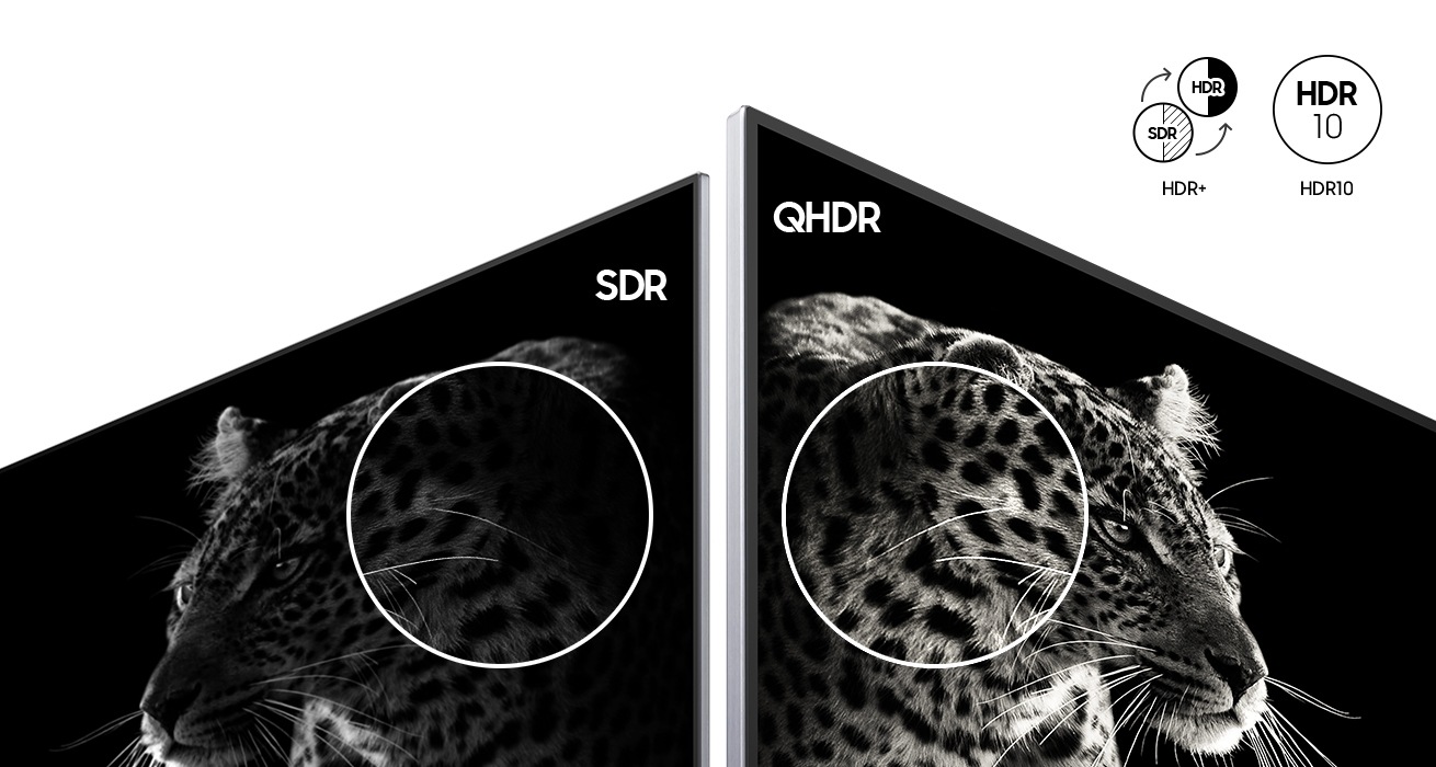 Изображение, сравнивающее предыдущую модель Samsung, которая поддерживает SDR, с дисплеем QHDR от Samsung, который поддерживает QHDR. Изображение на дисплее SDR (слева) не отображает деталей черно-белой картинки леопарда, тогда как изображение на дисплее QHDR (справа) показывает ту же черно-белую картинку леопарда в мельчайших деталях. В правом верхнем углу отображаются значки HDR + и HDR10, демонстрирующие обновление SDR до HDR.