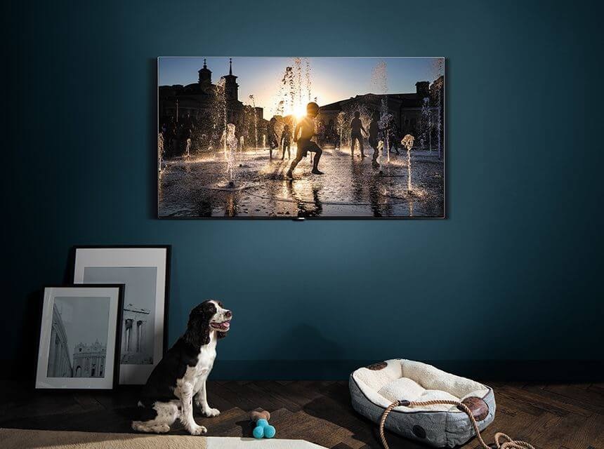QLED TV is hung on the wall, and a dog is seated at the bottom of the TV.