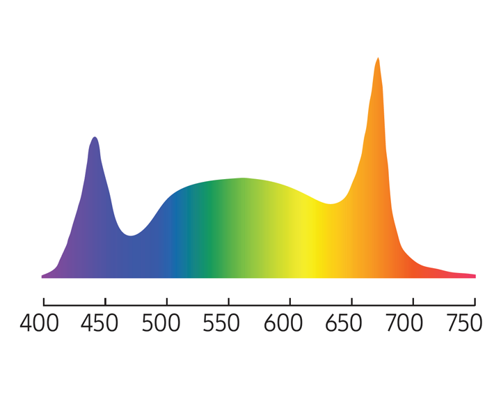 Horticulture Lighting Application