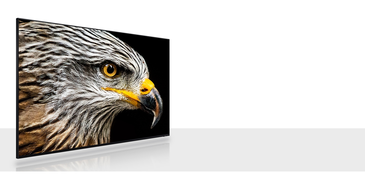 An 8K TV which is high definition TV displays a zoom-in of the head of a hawk with brown and white feathers.