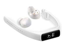 Wearables
