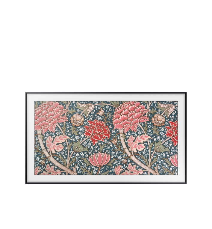 The Frame (2017, 2018 & 2019)