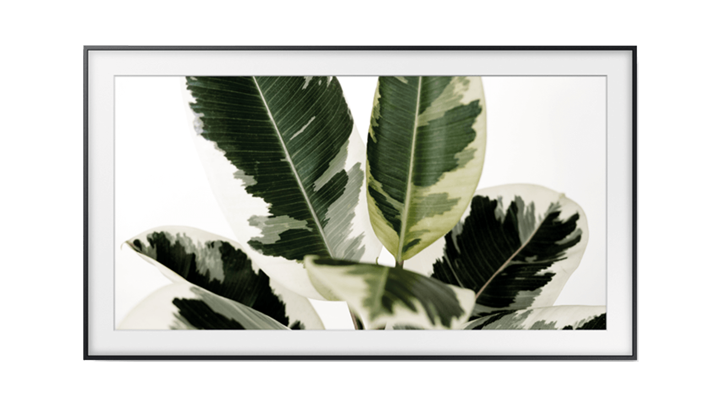 The Frame: A TV que é arte