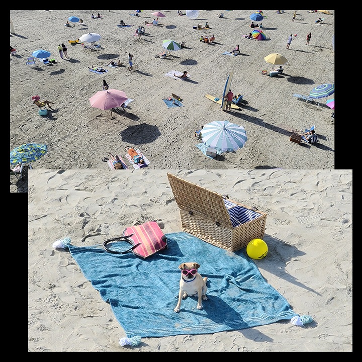 To billeder af samme strand. Det første viser stranden set på afstand, og på det andet er der zoomet ind, så man ser en hund med solbriller, der sidder på et blåt håndklæde med en picnickurv bagved.