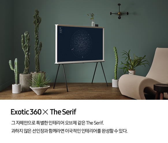 Exotic 360 X The Serif, 그 자체만으로 특별한 인테리어 오브제 같은 The Serif. 과하지 않은 선인장과 함께라면 이국적인 인테리어를 완성할 수 있다.