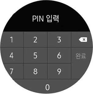 PIN 입력