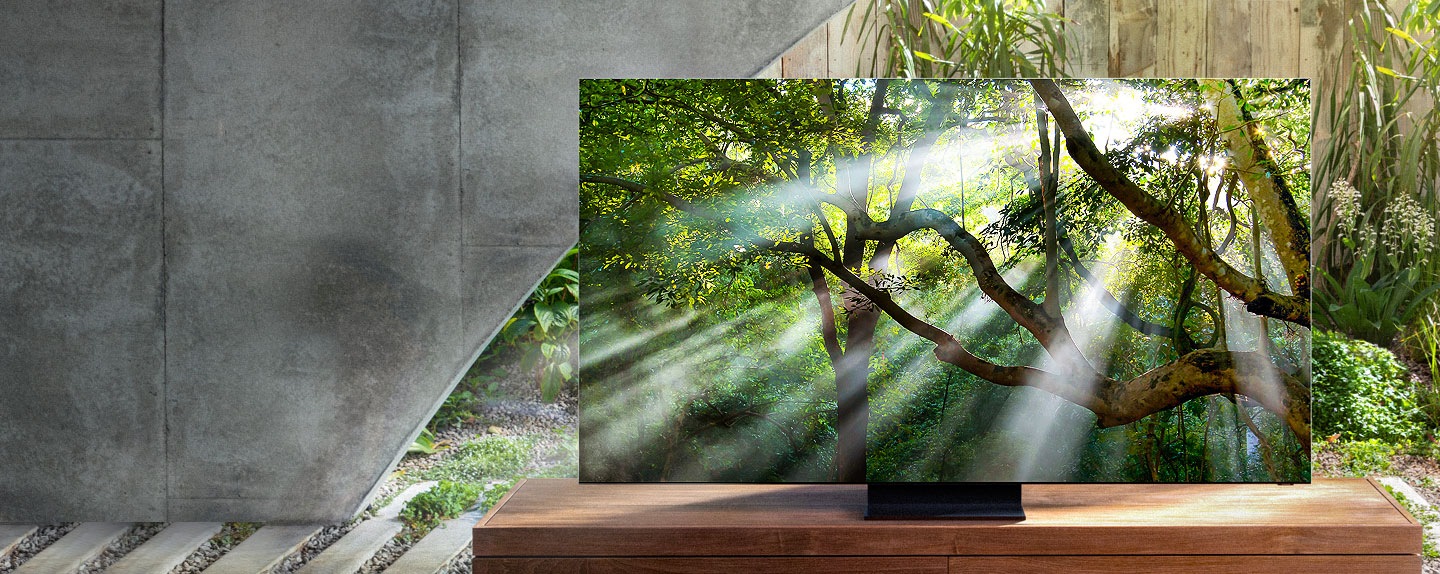 QLED 8K 제품 이미지입니다. TV 화면에는 초록색의 숲에 햇살이 비치는 장면이 노출되고 있으며, TV의 뒤에 있는 창문 너머로 정원의 나무들이 비춰보이면서 QLED 8K 인피니티 제품의 베젤이 거의 보이지 않음을 표현합니다. 이미지 좌측에 감각의 한계를 넘어서다 QLED 8K라는 문구가 적혀있습니다.